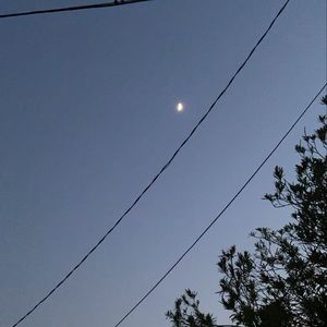 Meet your Posher, Edgar